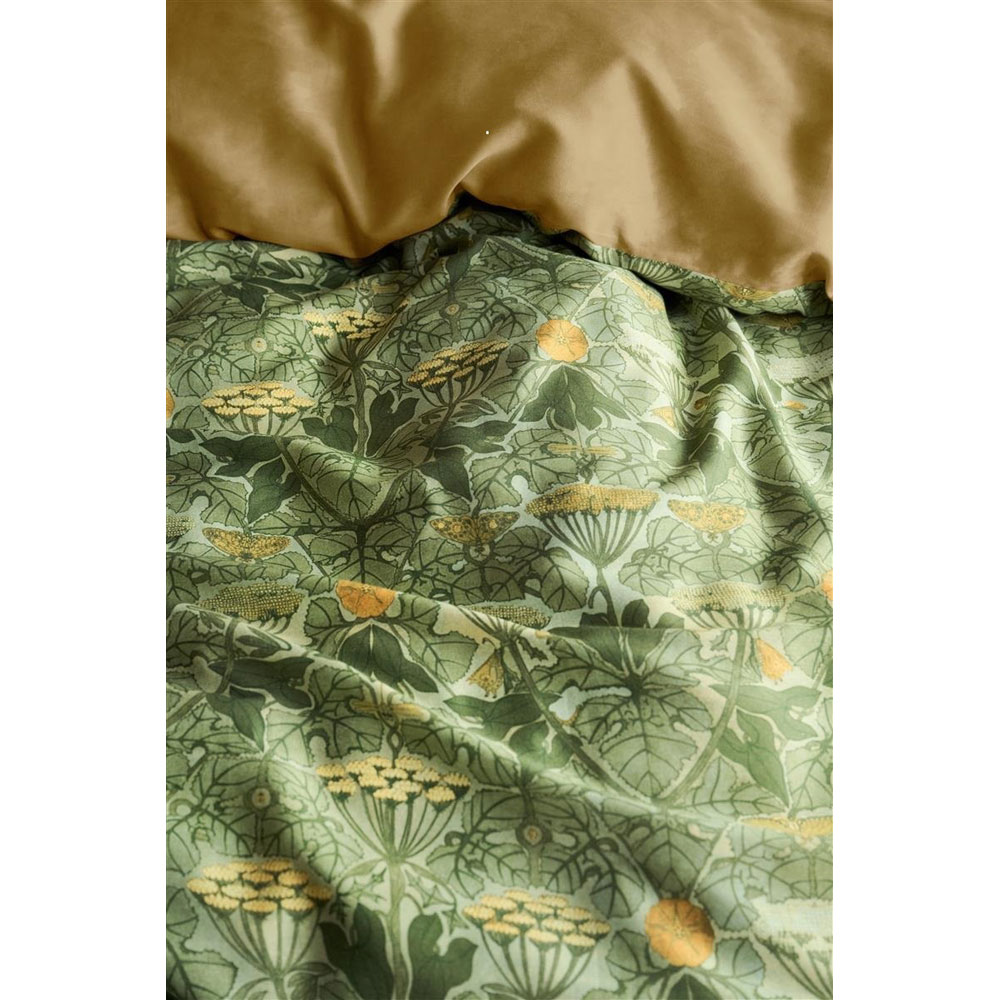 Ancient Olive Green At Home