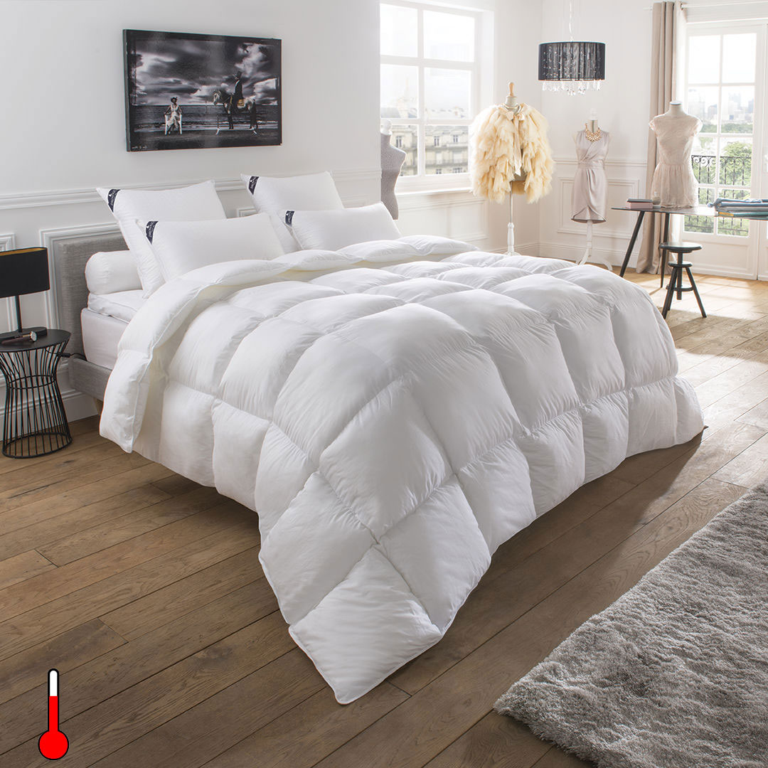 Couette Chaude Galaxie 90% duvet Drouault