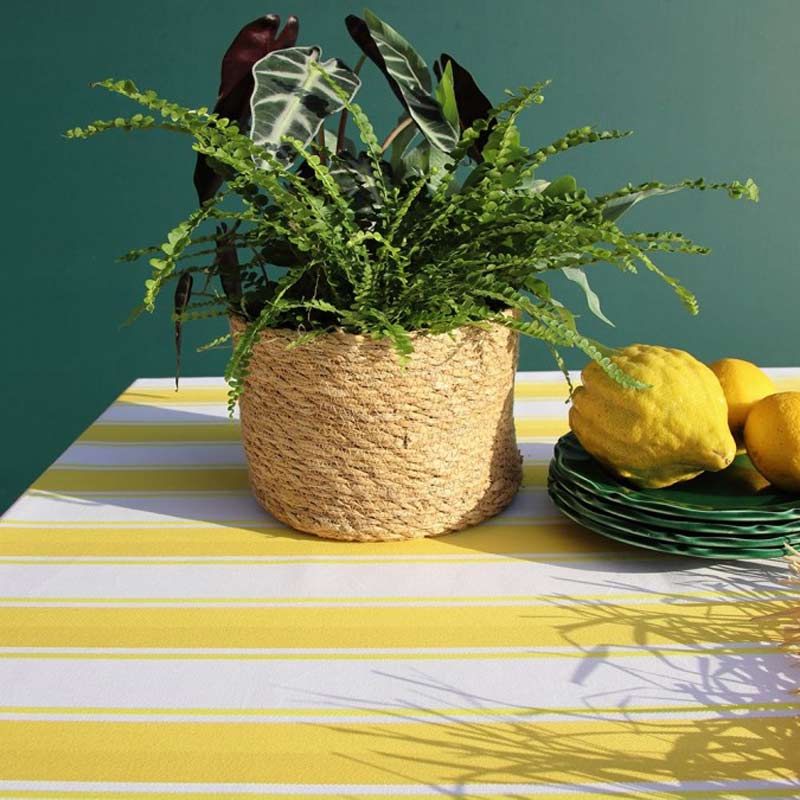 Nappe enduite Socoa Citronnade Jean Vier