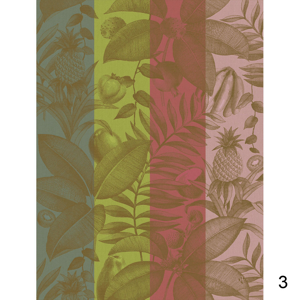 4 Torchons Fruits Exotiques 3 col. Le Jacquard Français