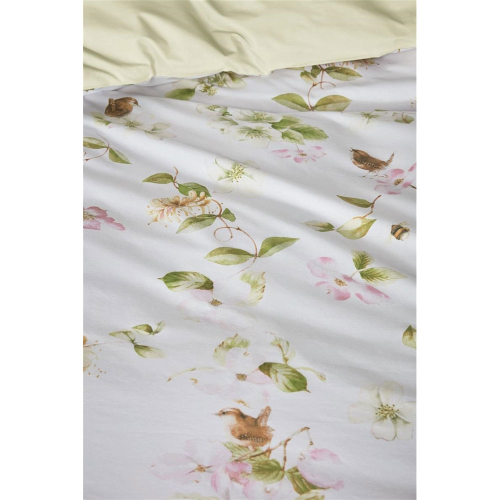 Honeysuckle Multi Marjolein Bastin