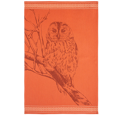 6 torchons Chouette Coucke