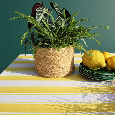 Nappe enduite Socoa Citron­nade Jean Vier