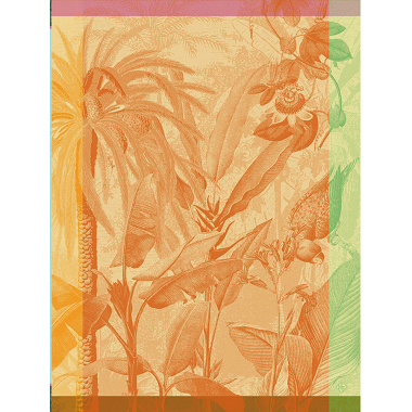 4 Torchons Equa­teur Toucan Le Jacquard Français