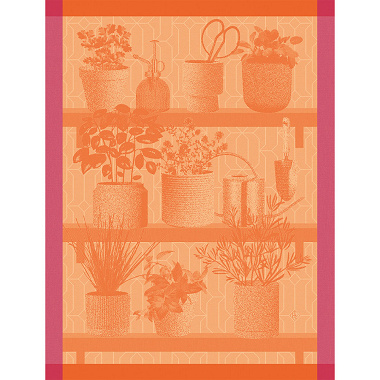 4 Torchons Herbes fraîches Paprika Le Jacquard Français