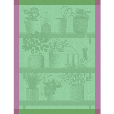 4 Torchons Herbes fraîches Thym Le Jacquard Français