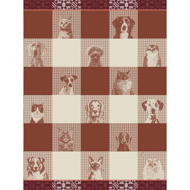 4 Torchons Truffes Teckel Le Jacquard Français