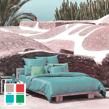  Bassetti