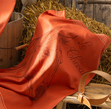 6 torchons Etalon 50×75 cm Coucke