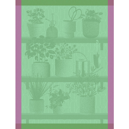4 Torchons Herbes fraîches Thym 60×80 cm Le Jacquard Français