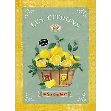 3 Torchons Citrons de Provence Vert 50×75 cm L’En­so­leillade